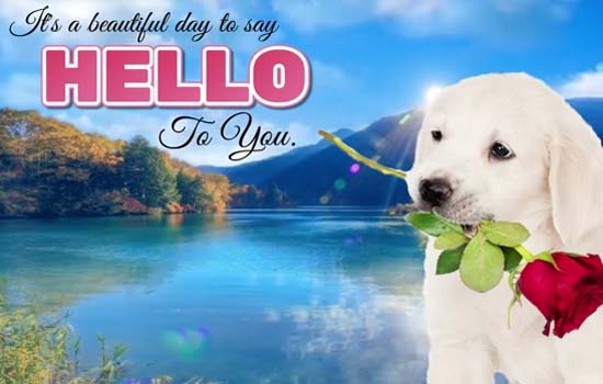 a-beautiful-day-to-say-hello-to-you-free-hi-hello-ecards-123-greetings