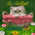 Kitty Says Hi-Hello To You.