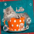 My Cute Hi-Hello Greeting Card For...