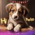 A Cute Hi-Hello Greeting Card For You.