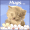 Supporting Hugs!
