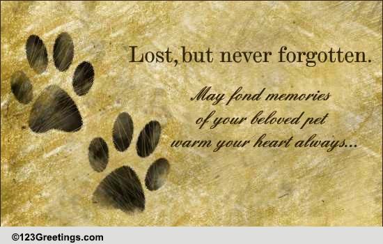 Lost... Free Loss of Pet eCards, Greeting Cards | 123 Greetings