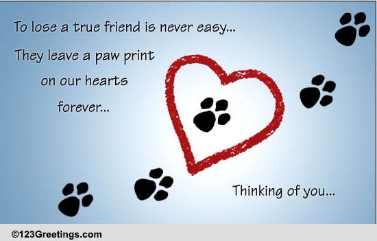 Pets Cards, Free Pets eCards, Greeting Cards | 123 Greetings