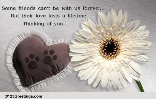 A Pet Loss Card! Free Loss of Pet eCards, Greeting Cards | 123 Greetings