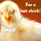 For A Hot Chick!