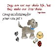 Express Delight On  Dear Ones New Pet.