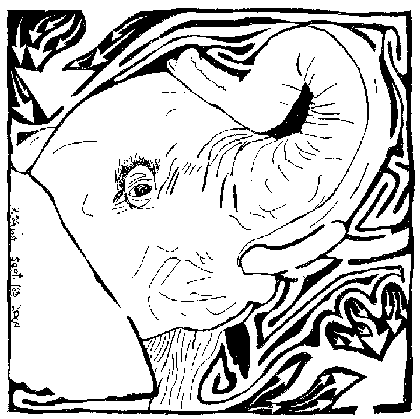 Elephant Maze.