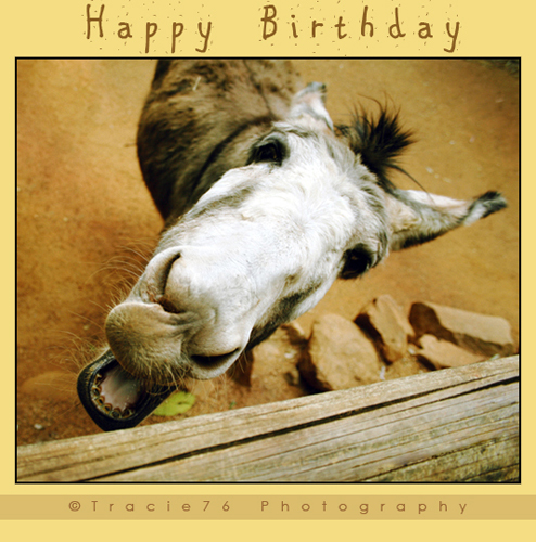 free birthday cards images. Free Birthday eCards, Greeting