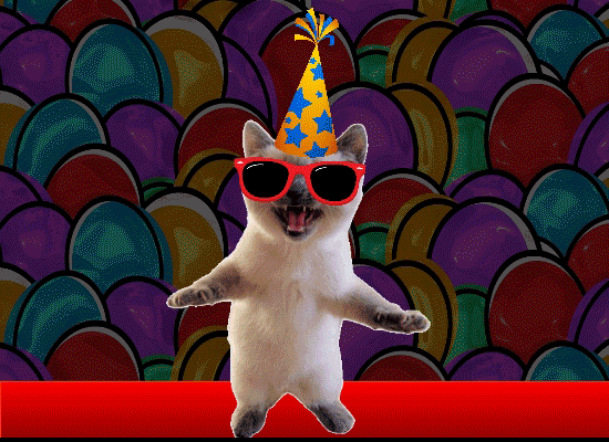 Funny Cat Colorful Thank You. Free Birthday Thank You eCards | 123 Greetings