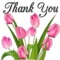 Thank You Tulips.