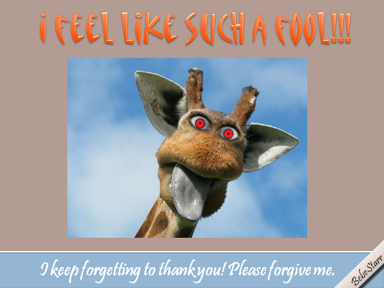 I Feel Like Such A Fool!