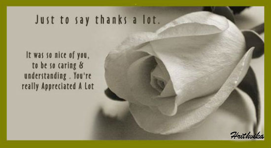 note-to-say-thanks-a-lot-free-for-everyone-ecards-greeting-cards