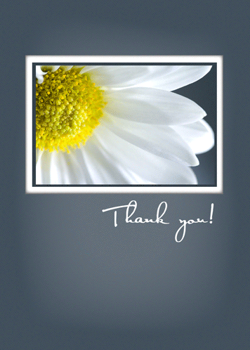 Thank You Daisy Flower Free For Everyone eCards, Greeting Cards | 123