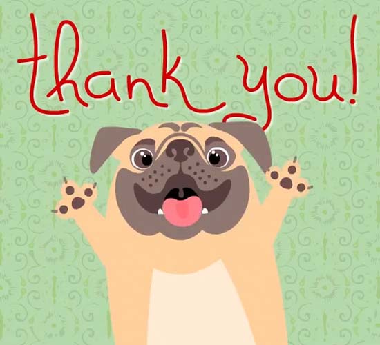Thank You From Pug Dog Free For Everyone ECards Greeting Cards 123 