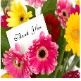 I Am Thankful To U.