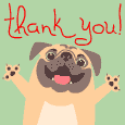 Thank You, From Pug Dog!