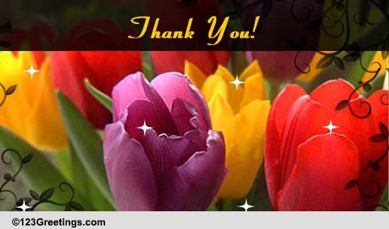 Thanks A Lot For Everything! Free Family Ecards, Greeting Cards 