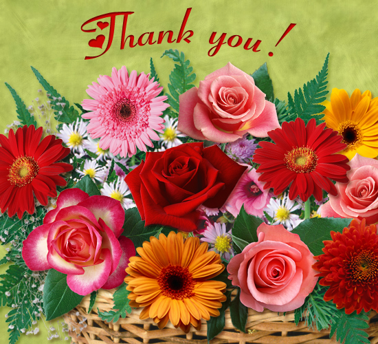 List 100+ Images thank you for the flowers images Completed