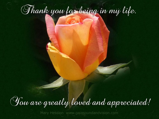 Thank You For Being In My Life. Free Flowers eCards ...