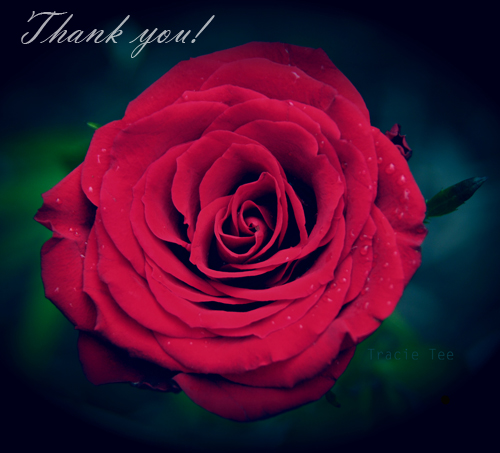 Thank You Very Much For Your Kindness Free Flowers Ecards 123 Greetings