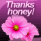 Thanks Honey!