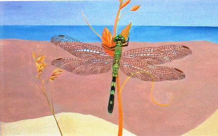 Image result for DRAGONFLIES ON A BEACH