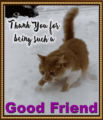 Thank you for being a friend free  mp3