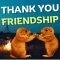 Thank You: Friendship For Life