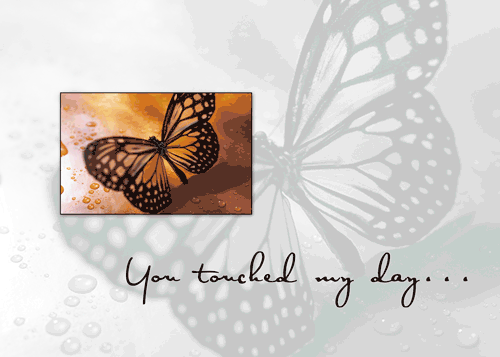Thank You, Butterfly.