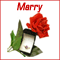 A Marry Me Card.