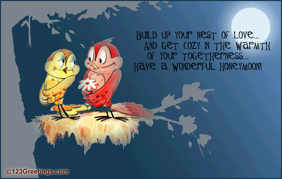 Build Up Your Nest Of Love!