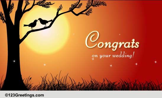 Wedding Congrats! Free Wedding Etc eCards, Greeting Cards | 123 Greetings