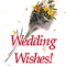 Wedding Wishes For The Newly Weds.