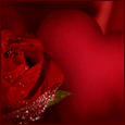 I Deeply Love You...
