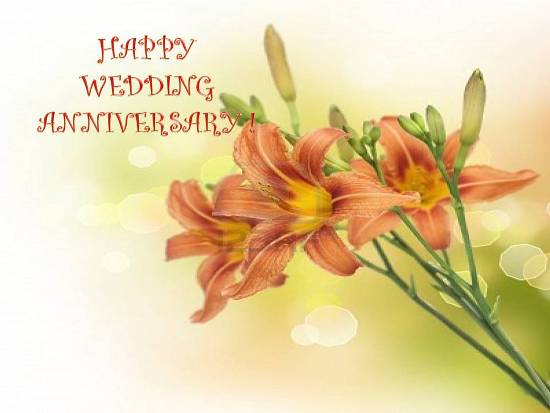 Anniversary Wishes For You...
