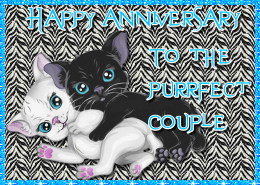 Purrfect Couple Anniversary Wishes.