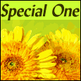 For A Special Couple...