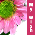 Here&apos;s My Wish!