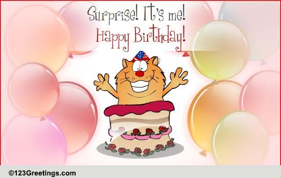 Birthday Surprise!