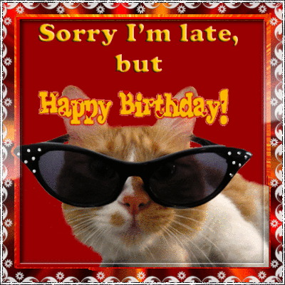Sorry I’m Late Birthday Cat!