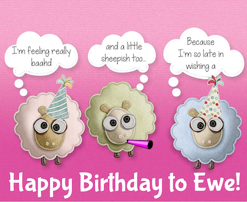 Belated Birthday To Ewe!