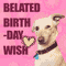 Belated Birthday Cheeky Dog.