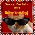 Sorry I’m Late Birthday Cat!