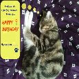 Sleeping Kitty Birthday Wish.