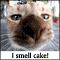 Do I Smell Cake?