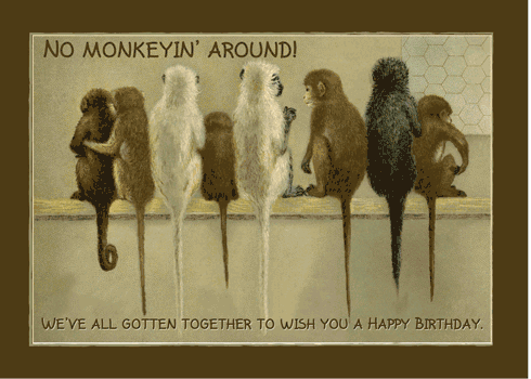 Monkey Business Funny Birthday.
