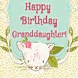 A Purrfect Birthday To Granddaughter