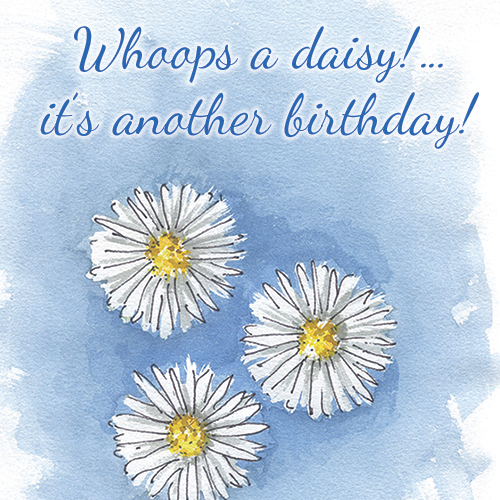 A Daisy! It’s Another Birthday!