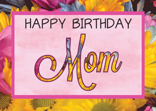 Gerbera Daisies For Mom’s Birthday.