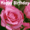 Rose Lover%92s Birthday.
